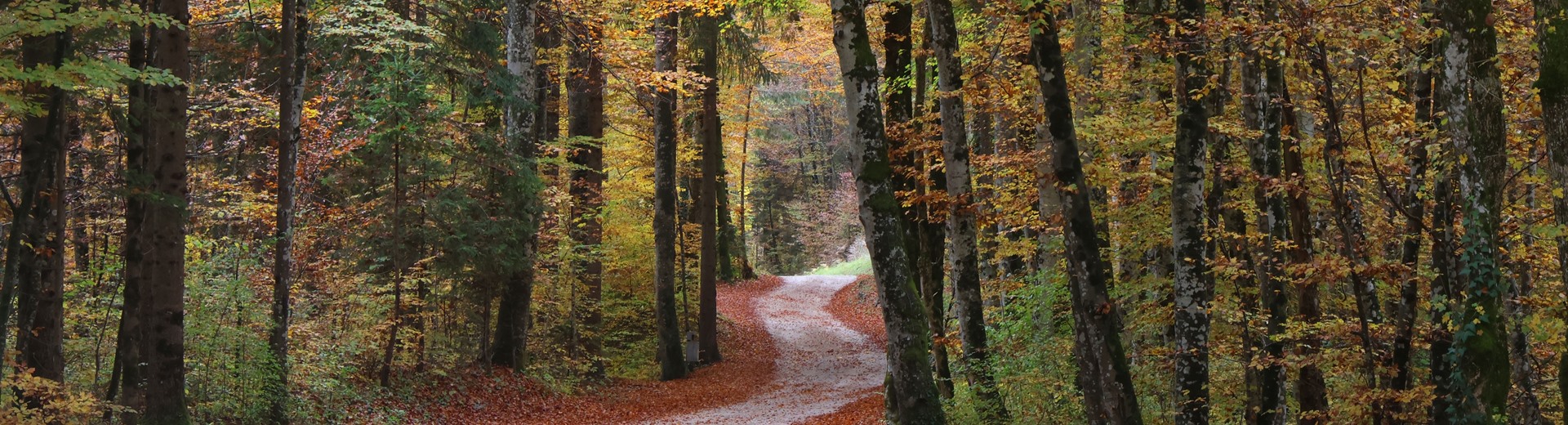 Dobrodošli v občini Cerknica!
